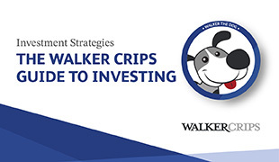 From Beginner to Buffet: The Walker Crips Guide to Investing - Investment Strategies